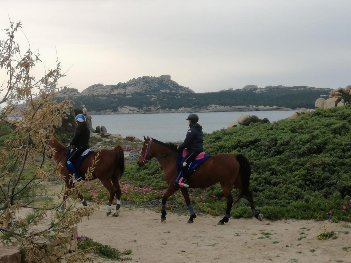 Casa Baia Santa Reparata - Santa Teresa Di Gallura Iun Q1712 Ngoại thất bức ảnh